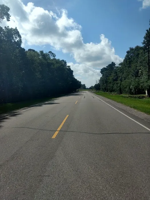 Pinewood Place Picture 3