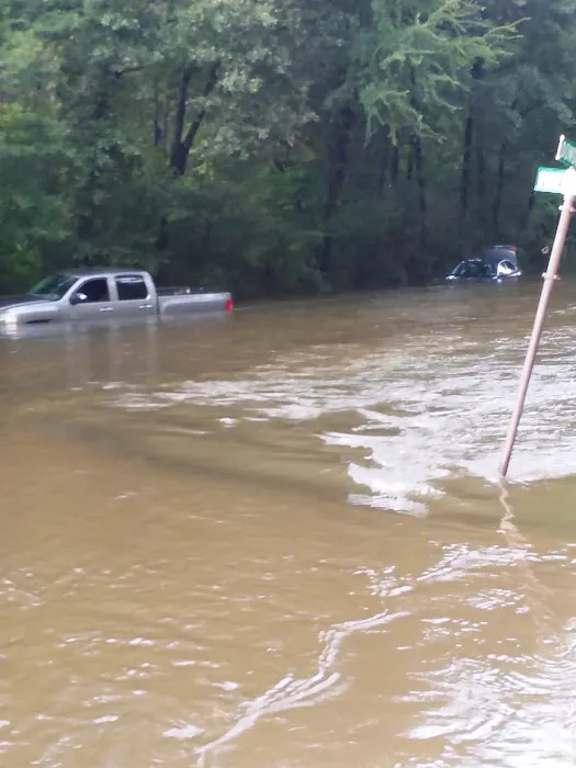 Pinewood Place Picture 8