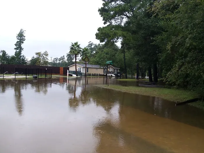 Pinewood Place Picture 4