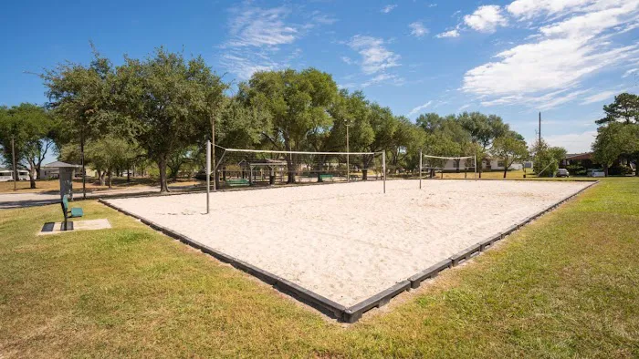 Pine Trace Picture 4