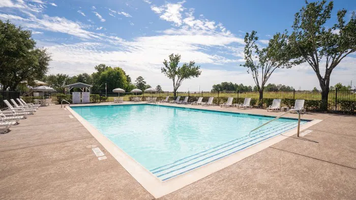 Pine Trace Picture 2