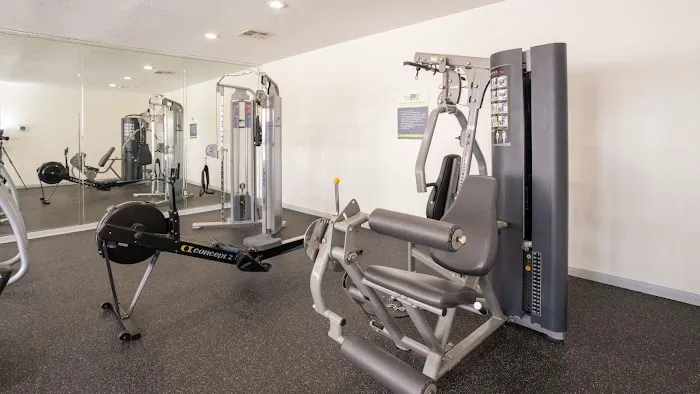 Pine Trace Picture 5