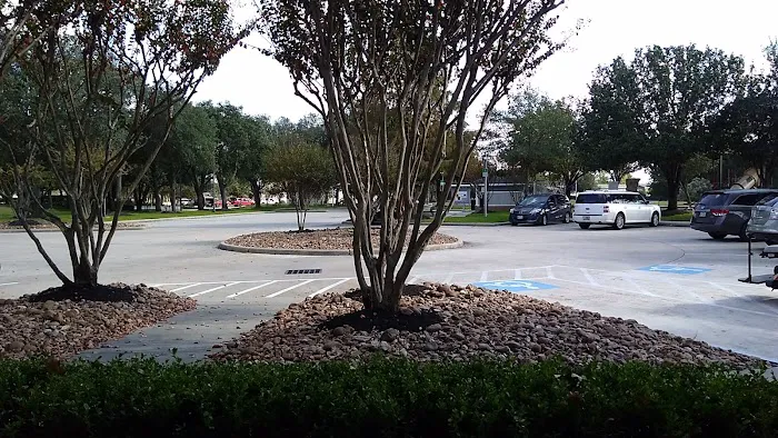 Pine Trace Picture 8