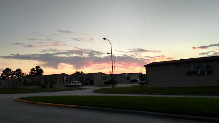 Pine Trace Picture 9