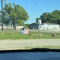 Lone Star RV Retreat ico