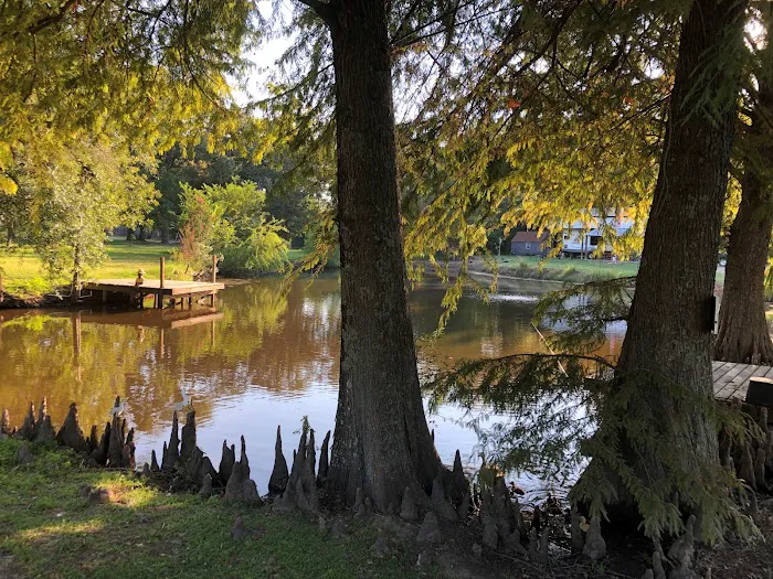 Emory Oaks RV Park Picture 2