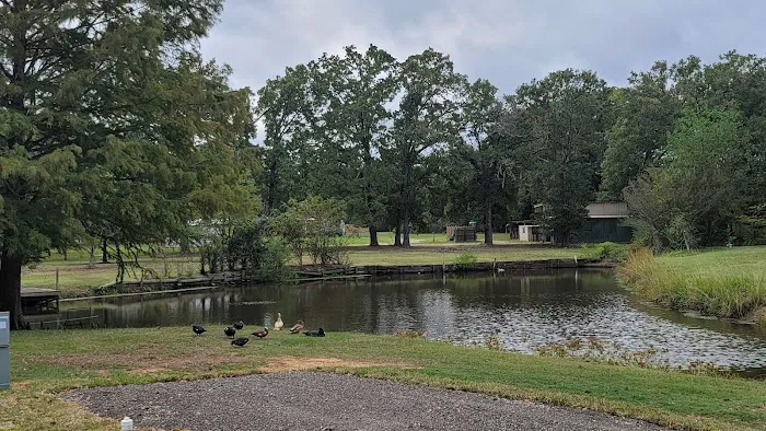 Emory Oaks RV Park Picture 10