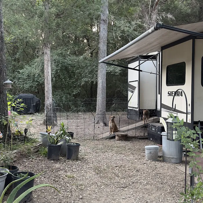 Cedar Grove RV Park & Campground Picture 2