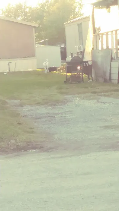 Cottonwood wood trailer park Picture 10