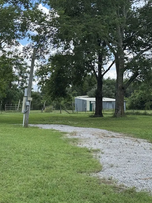 Starlight RV Park Picture 3