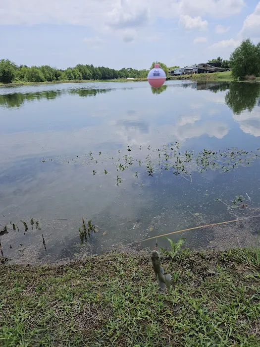 Rockin' Sunset RV Picture 5