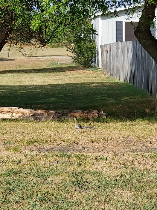 Bluebonnet Ridge RV Park Picture 5