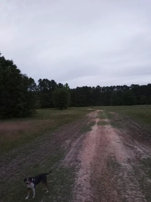 J&l r v park Picture 6