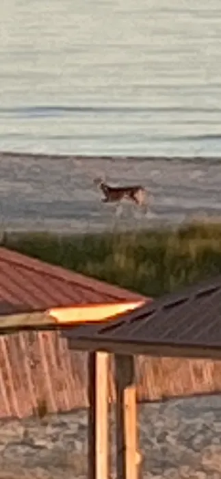 Holly BeachPickled Pelican Rv Resort Picture 10