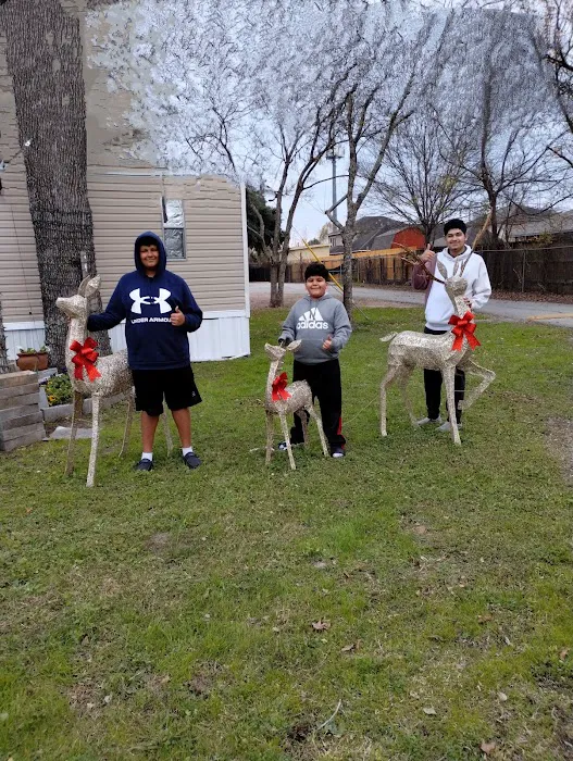 Shady Oak Village MHP, LLC Picture 8