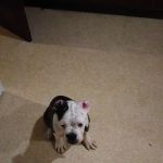 Wichita Mobile Home Park