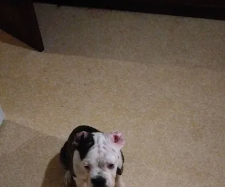 Wichita Mobile Home Park