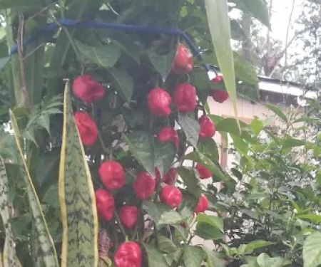 Parkview Mobile Home Park