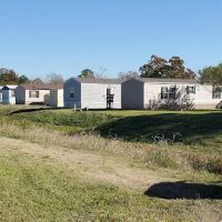Pecan Plantation ico