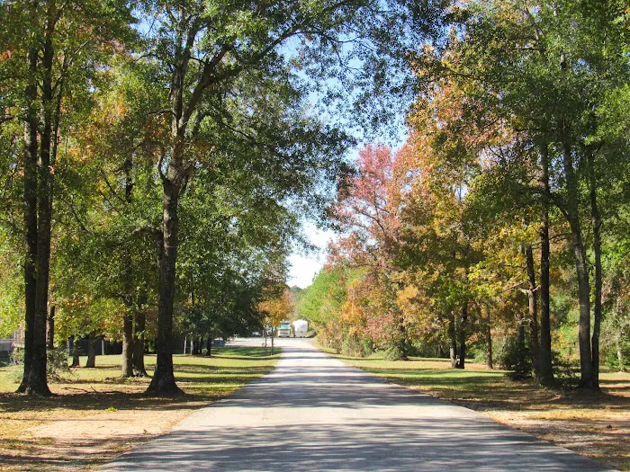 Timber Ridge RV Village Picture 3