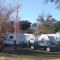 Magnolia Blossom RV Park ico