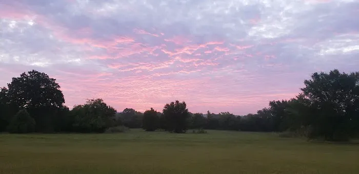 Cousins Landing RV Park Picture 4