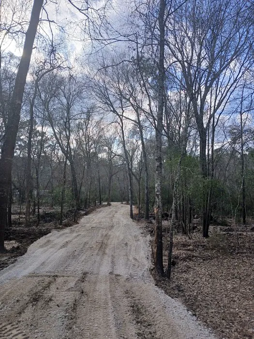 Magical Forest II RV Resort Picture 1