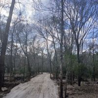 Magical Forest II RV Resort ico