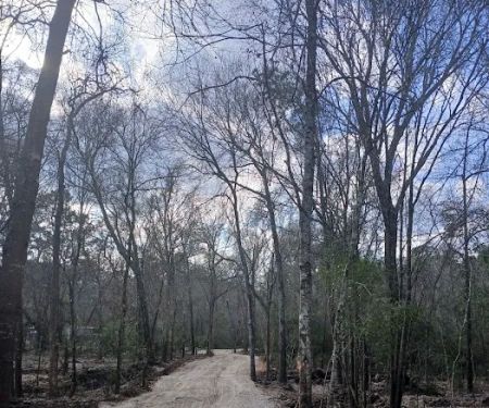 Magical Forest II RV Resort