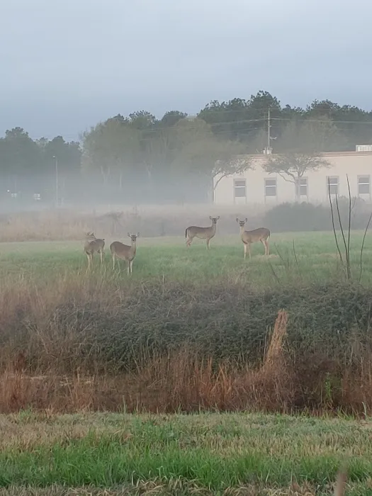 Corral RV Park Picture 8