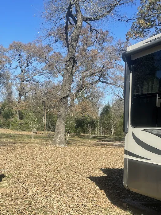 Sentinel Oaks RV Park, LLC Picture 1