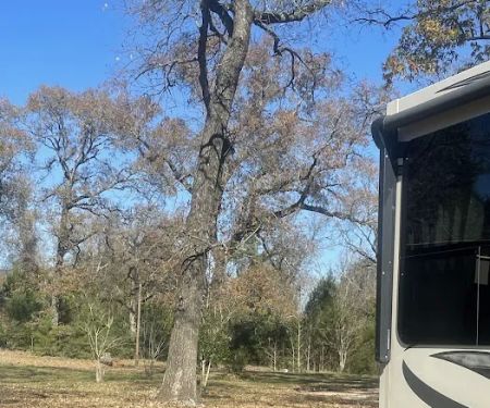 Sentinel Oaks RV Park, LLC