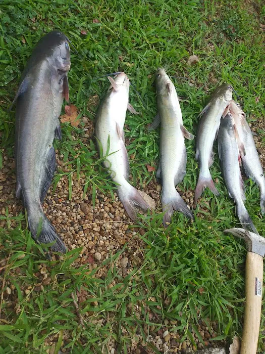 429 Resort and Marina - Lake Tawokoni, Tx Picture 10
