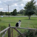 Downey Mobile Home & RV Park