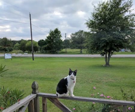 Downey Mobile Home & RV Park