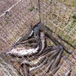 Homeplace RV Lake Mexia