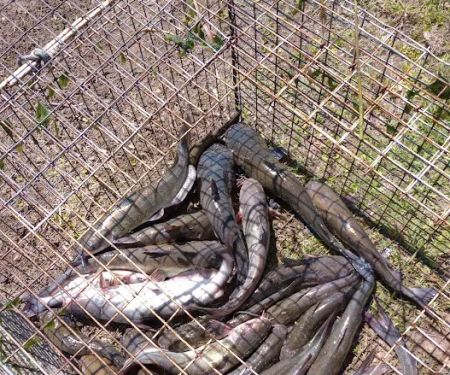 Homeplace RV Lake Mexia