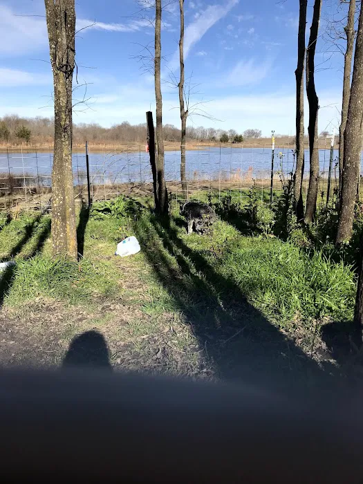 Lakeside RV Park Picture 10