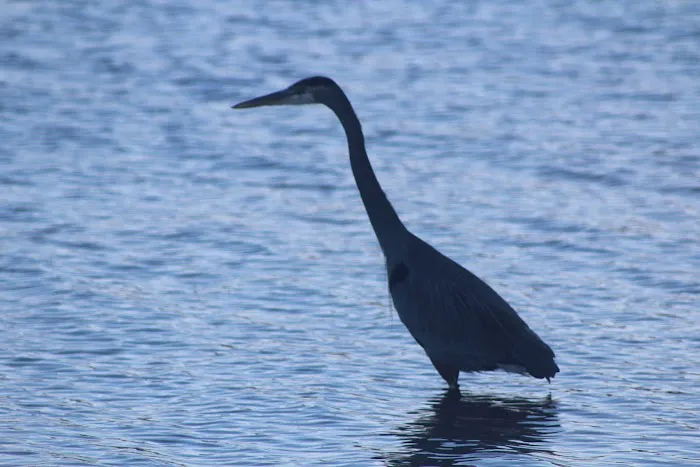 RL Waters Edge RV Park Picture 6