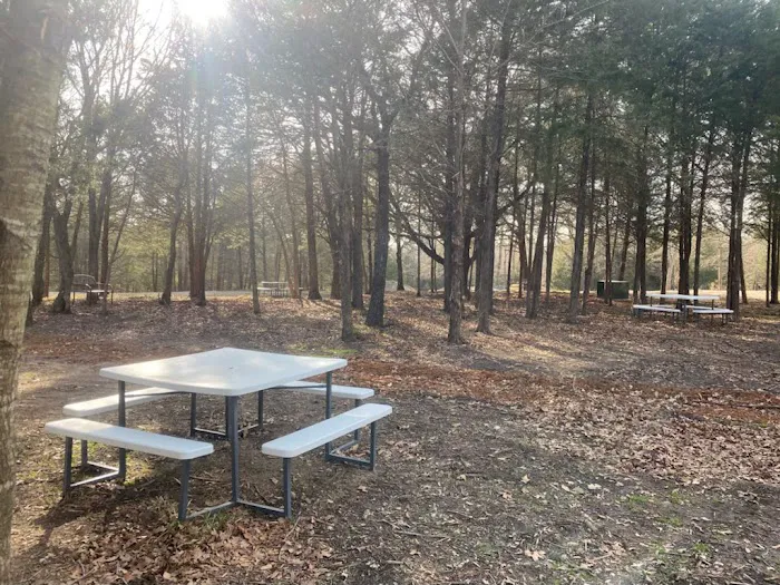 4 Rivers Hideaway Picture 3