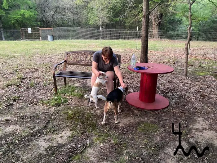 4 Rivers Hideaway Picture 10