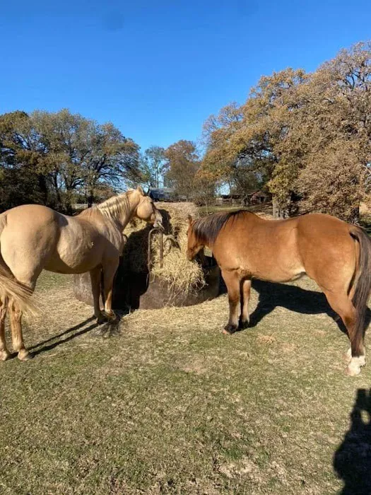 4 Rivers Hideaway Picture 9