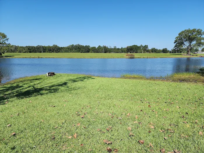 Briar patch RV park warren ar Picture 2