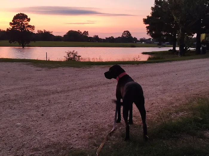 Briar patch RV park warren ar Picture 1