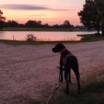 Briar patch RV park warren ar