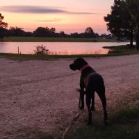 Briar patch RV park warren ar ico