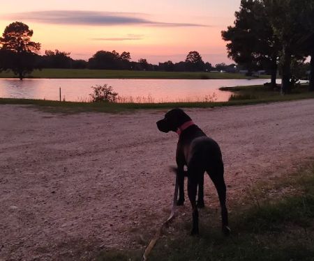 Briar patch RV park warren ar