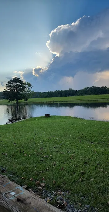 Briar patch RV park warren ar Picture 6