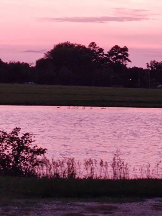 Briar patch RV park warren ar Picture 8