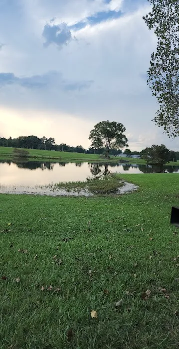 Briar patch RV park warren ar Picture 7